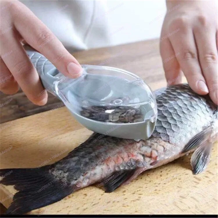Beliebtes Fischschuppen-Schabe – Kitchen Gadgets Popular Bewertung und Preis