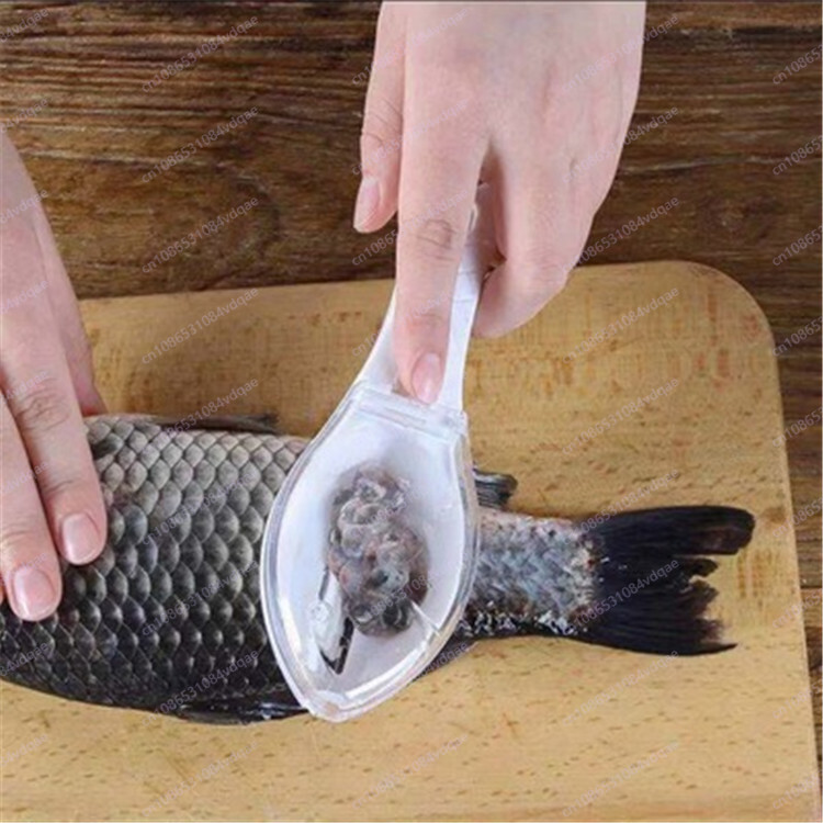 Beliebtes Fischschuppen-Schabe – Kitchen Gadgets Popular Bewertung und Preis