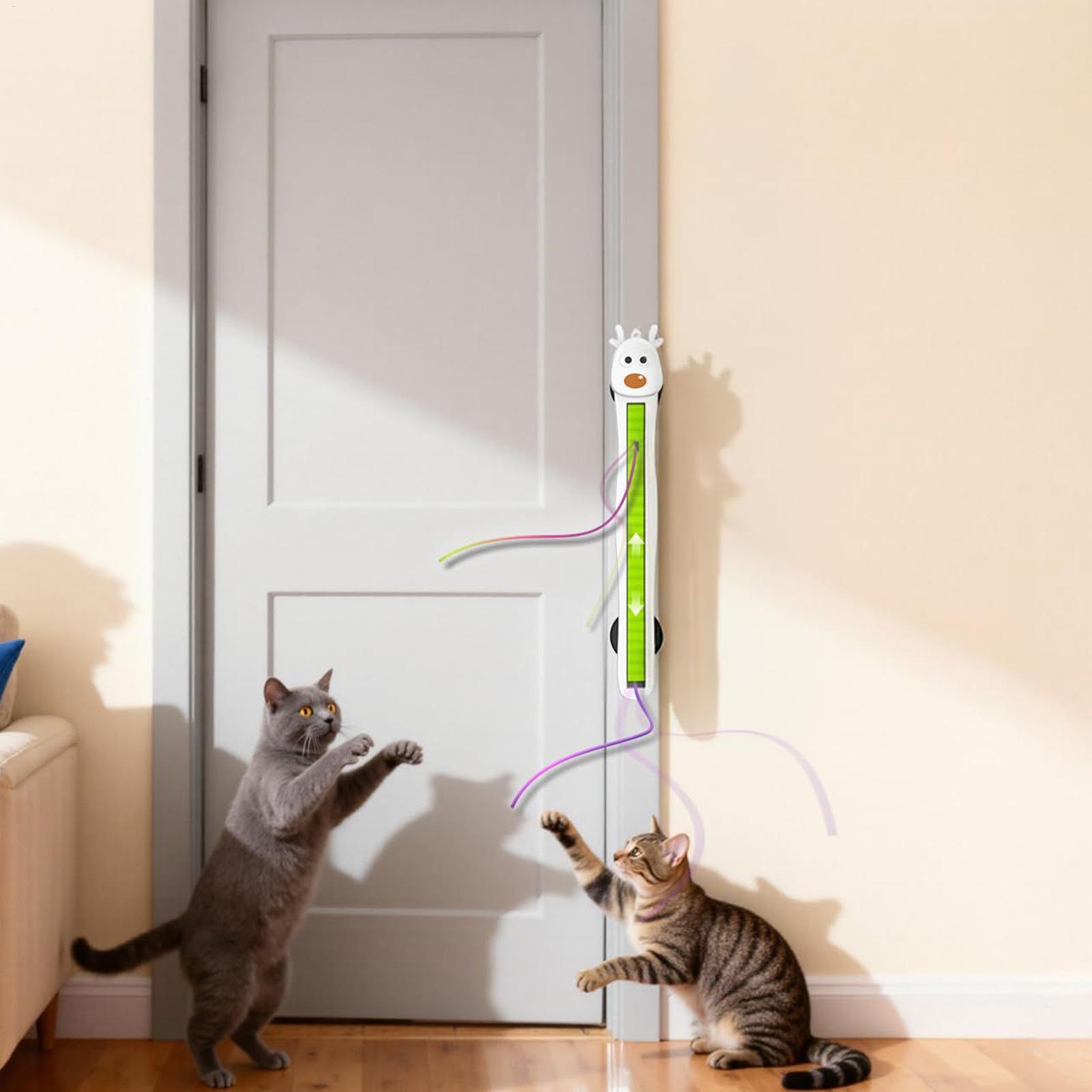 Elektronisches Katzenspielzeug – Kitchen Gadgets Electronic Bewertung und Preis
